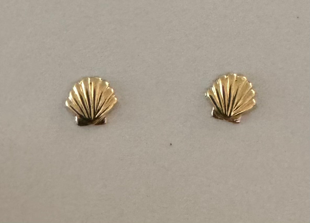 Sea Shell Stud Earrings